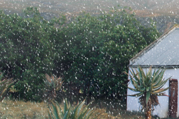 Vertical Snowfall